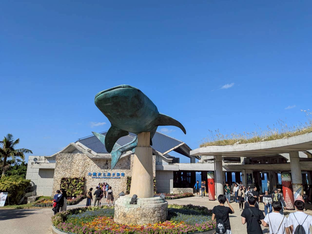 水族館1